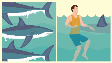 How to Avoid a Shark Attack