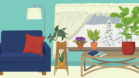 Guide to Winter Houseplants