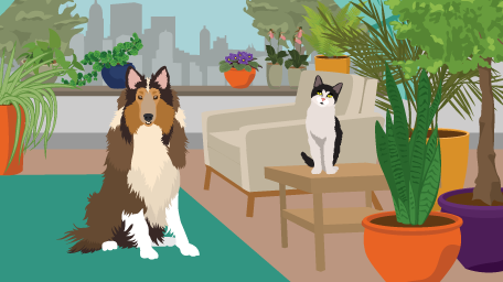 How to Grow Houseplants without Harming Your Pets
