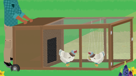The Chicken Tractor: A Mobile Chicken Coop