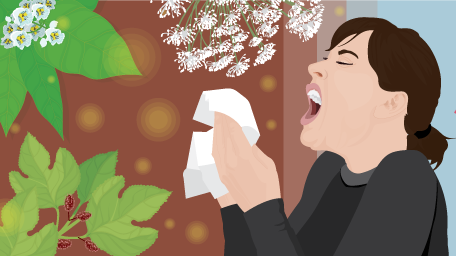 Create a Sneeze-Free Garden