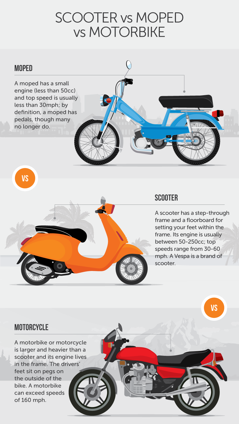 FALSK Edition skrig What to Know Before Riding Scooters on Vacation | Fix.com