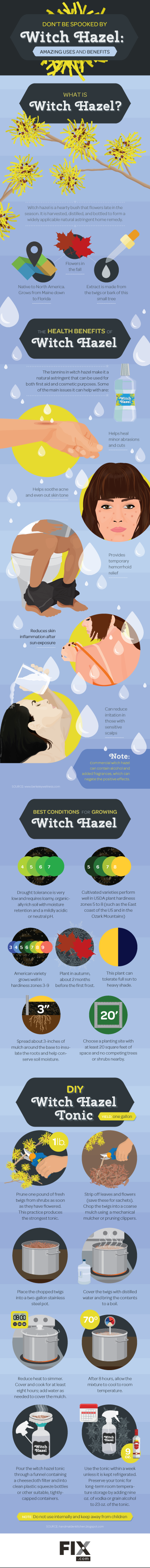 witch-hazel-uses